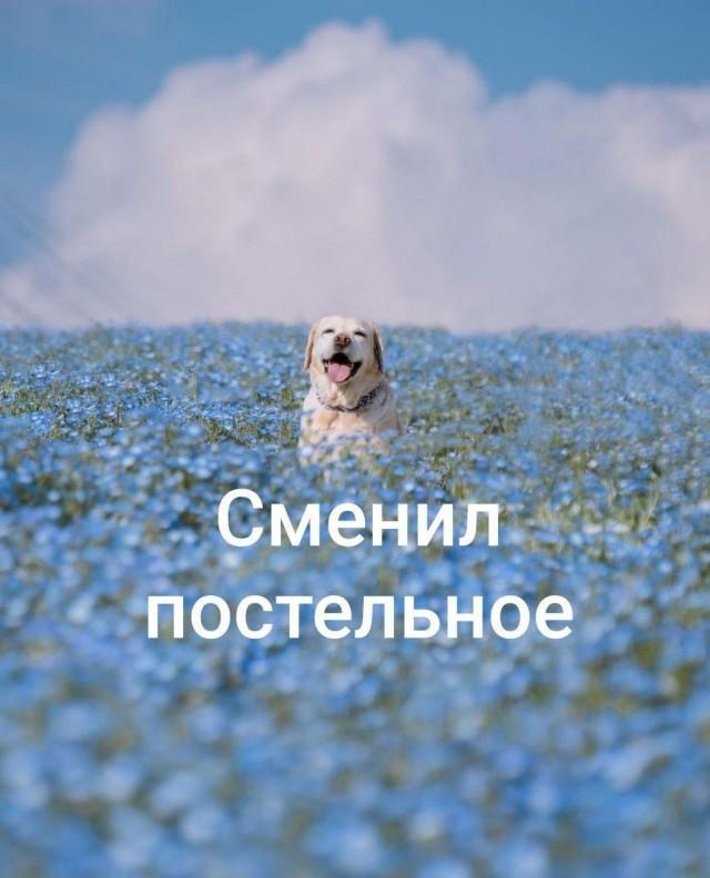 ����� ������� ��� ���������� (25 ����)