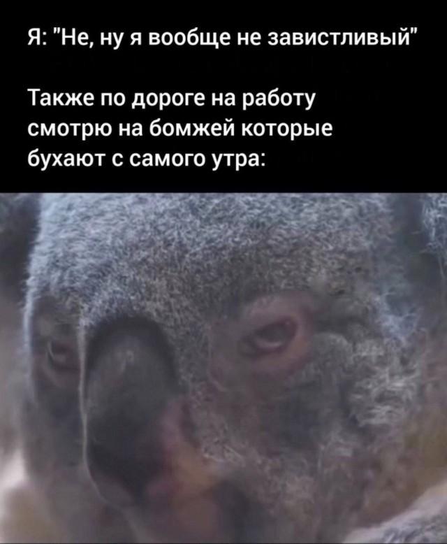 ����� ������� ��� ���������� (25 ����)