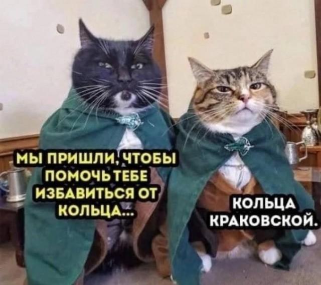 ����� ������� ��� ���������� (25 ����)