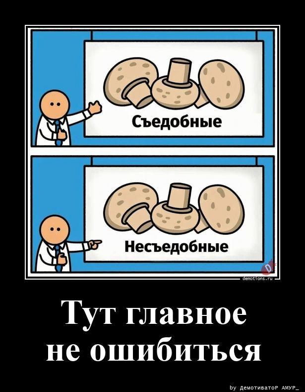 ������������ �������� (20 ����)