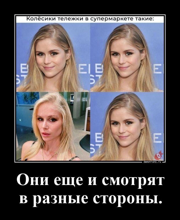 ������������ �������� (20 ����)