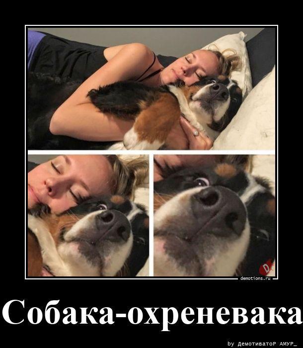 ������������ �������� (20 ����)