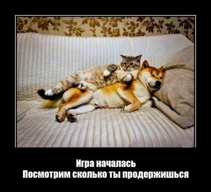 ������������ �������� (20 ����)