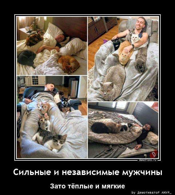 ������������ �������� (20 ����)