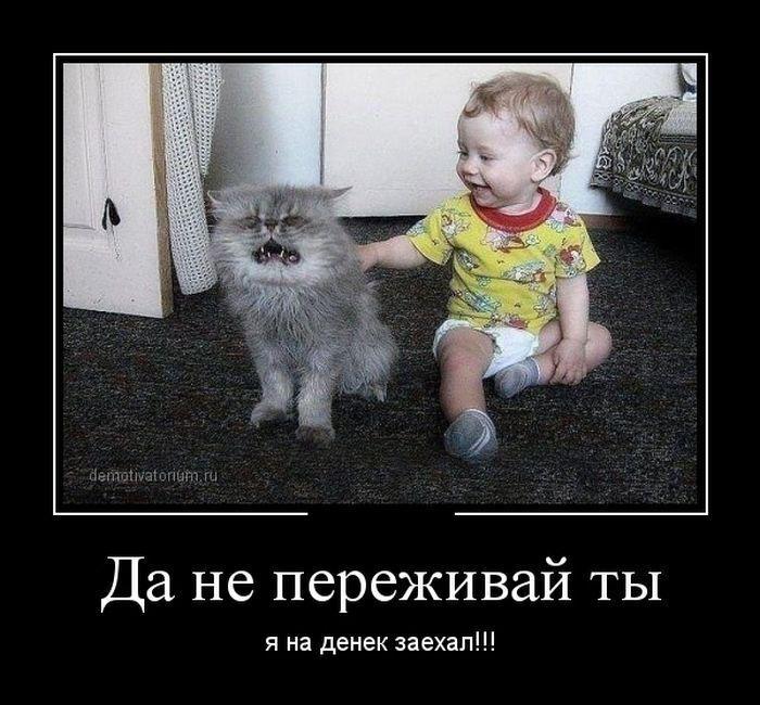 ������������ �������� (20 ����)
