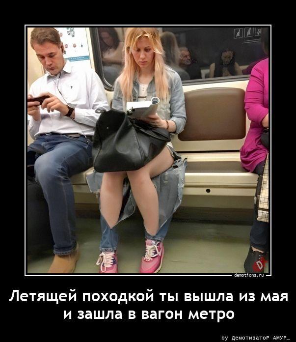 ������������ �������� (20 ����)