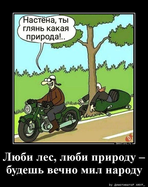 ������������ �������� (20 ����)