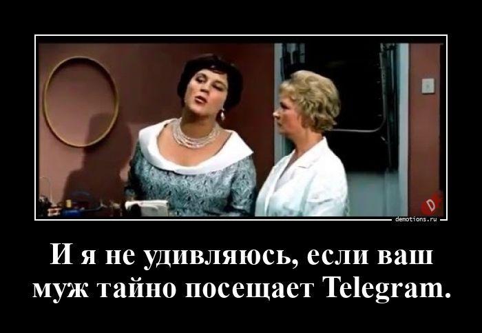 ������������ �������� (20 ����)