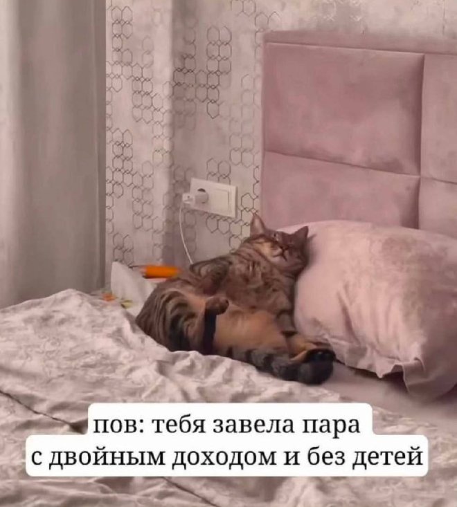 ������ ���� � ������� ��� ��������� ���������� (33 ����)