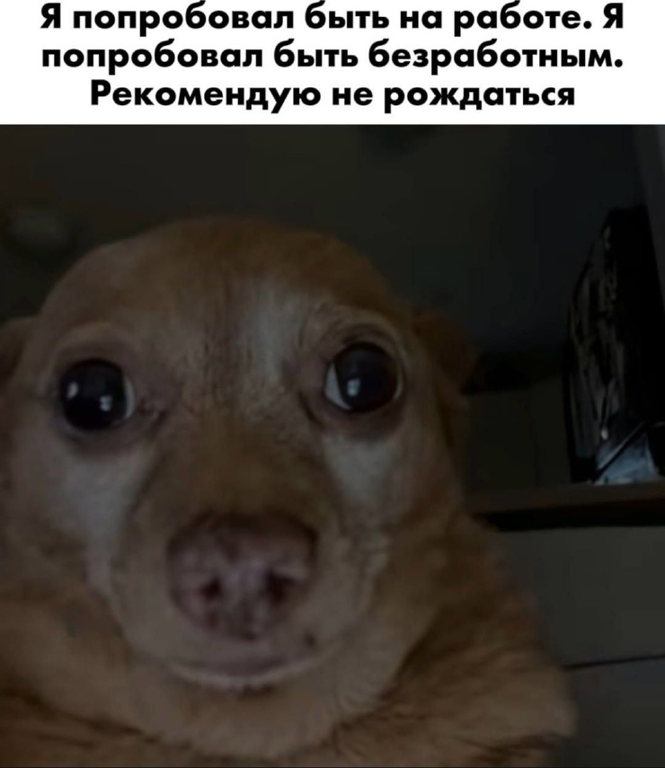 ������ ���� � ������� ��� ��������� ���������� (33 ����)