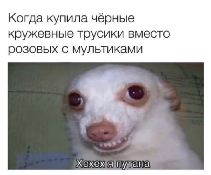 ������ ���� � ������� ��� ��������� ���������� (33 ����)