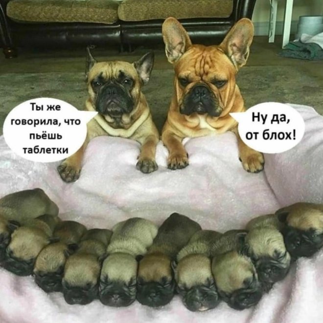 ��������! �������� ������� ��� ��������� ���������� (26 ����)