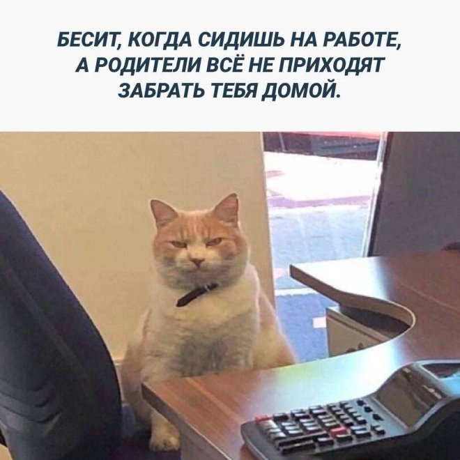 ��������! �������� ������� ��� ��������� ���������� (26 ����)