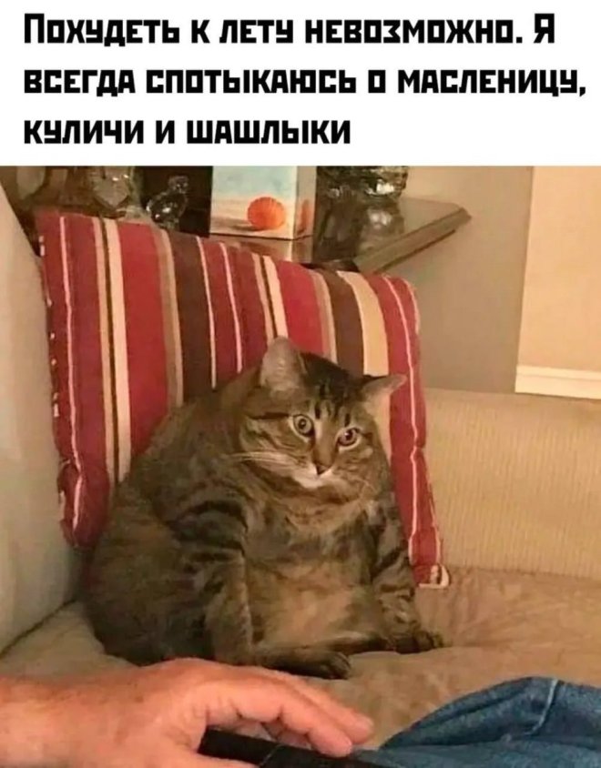 ��������! �������� ������� ��� ��������� ���������� (26 ����)
