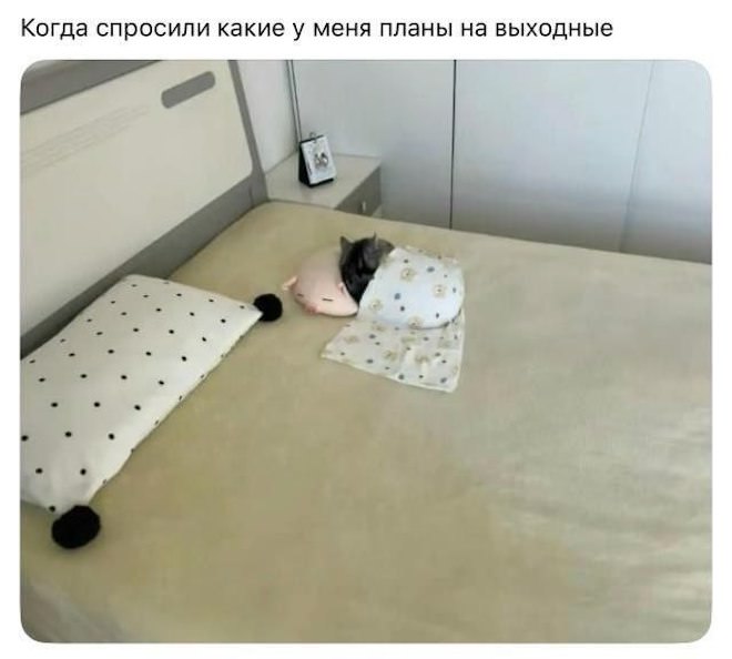 ��������! �������� ������� ��� ��������� ���������� (26 ����)