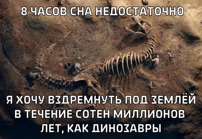 �������� �������� �������� � ����� �� ���� (30 ����)