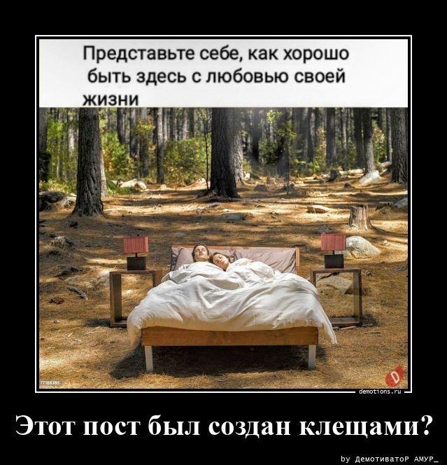 ������������ ������������ (22 ����)
