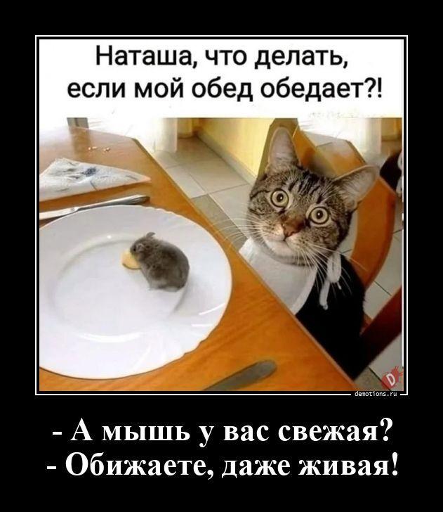 ������������ ������������ (22 ����)