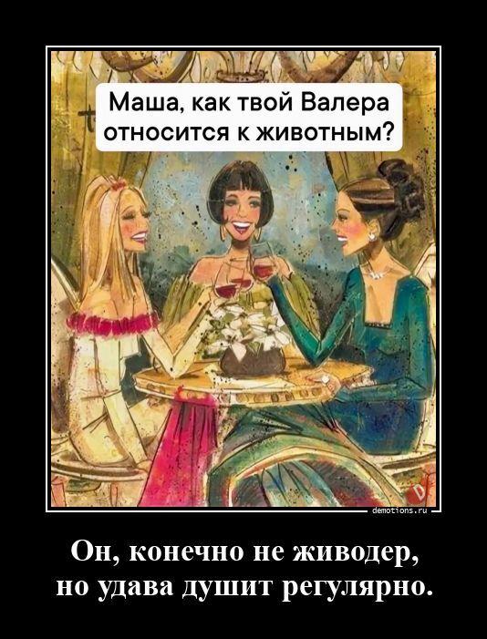������������ ������������ (22 ����)