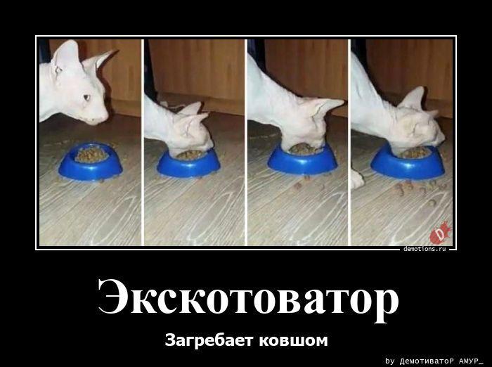 ������������ ������������ (22 ����)