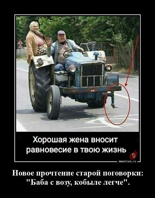 ������������ ������������ (22 ����)