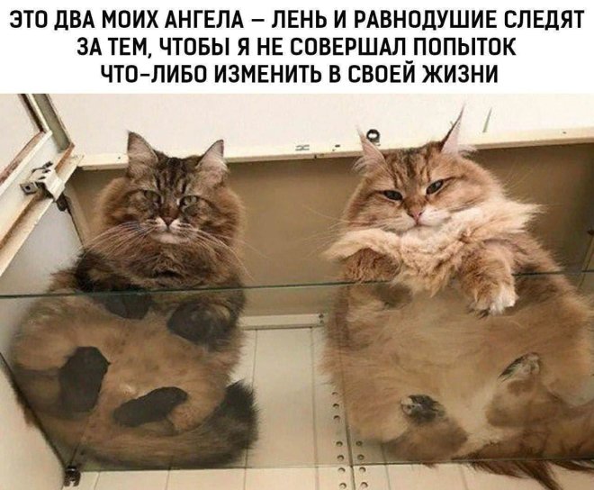 ������� ������ ����� � �������� (32 ����)