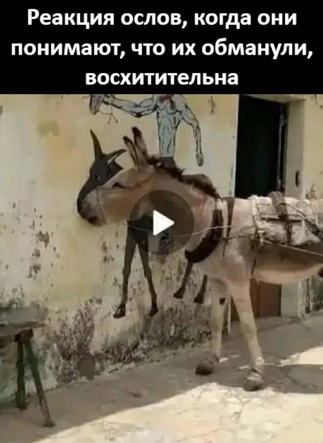 ������� ������ ����� � �������� (32 ����)