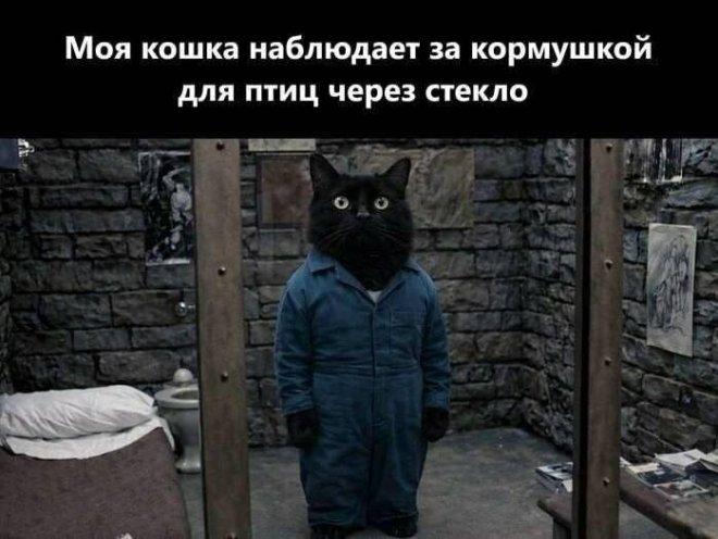 ������� ������ ����� � �������� (32 ����)