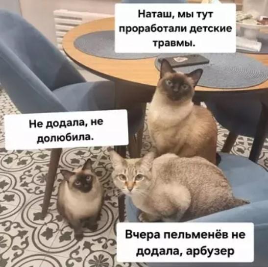 ������� ���� � ������� ��� ���������� (30 ����)