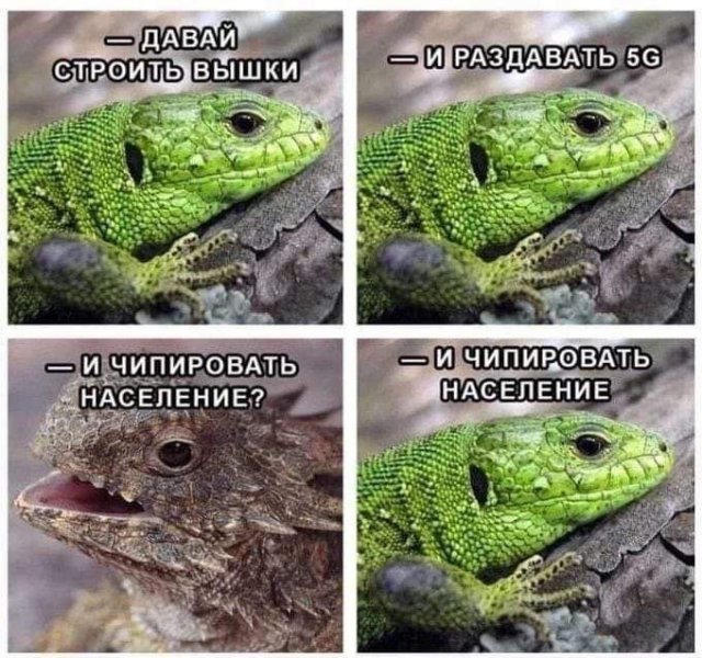 ������� ���� � ������� ��� ���������� (30 ����)