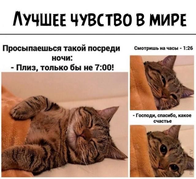 ������� ���� � ������� ��� ���������� (30 ����)