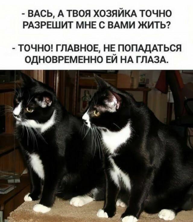 ������� ���� � ������� ��� ���������� (30 ����)