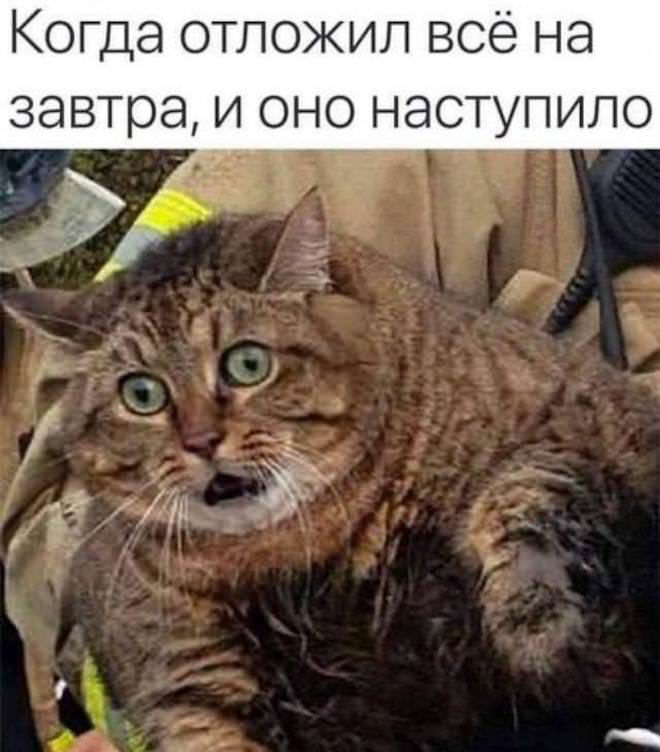 ������ ������� �� ���� (17 ����)