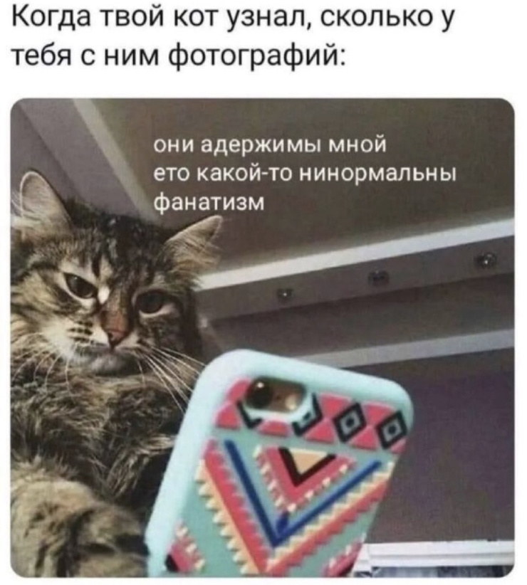 �������� ����� � �������� �� ���� (28 ����)