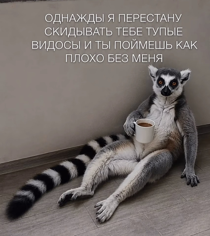 �������� ����� � �������� �� ���� (28 ����)