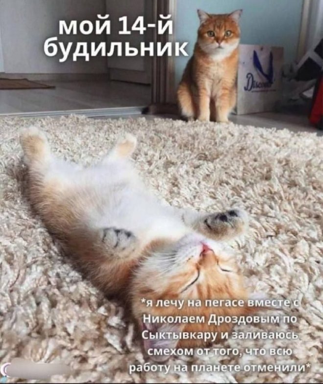 �������� ����� � �������� �� ���� (28 ����)