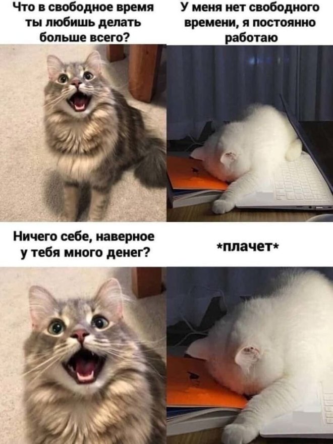 �������� ����� � �������� �� ���� (28 ����)
