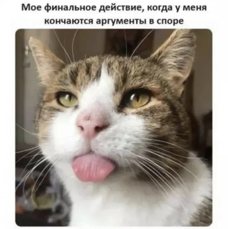 �������� ����� � �������� �� ���� (28 ����)