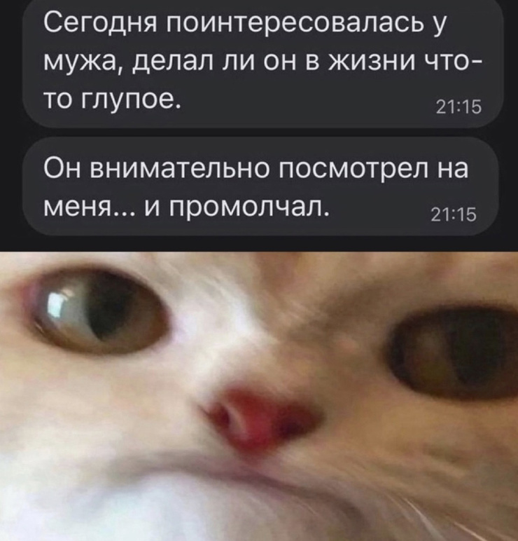 ���������! �������� ����� � �������� ��� ���������� (20 ����)