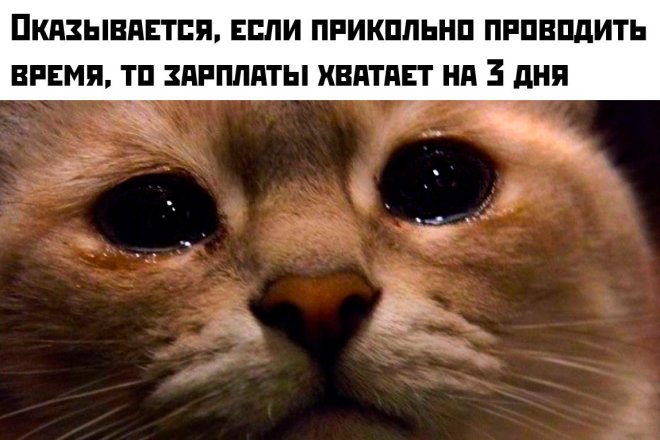 ������� ���� � ������� ��� ���������� (30 ����)