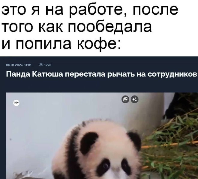 ������� ���� � ������� ��� ���������� (30 ����)