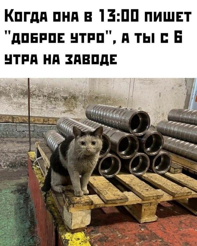 ������� ���� � ������� ��� ���������� (30 ����)