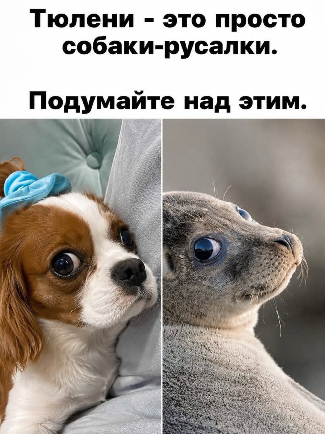 ������� ���� � ������� ��� ���������� (30 ����)