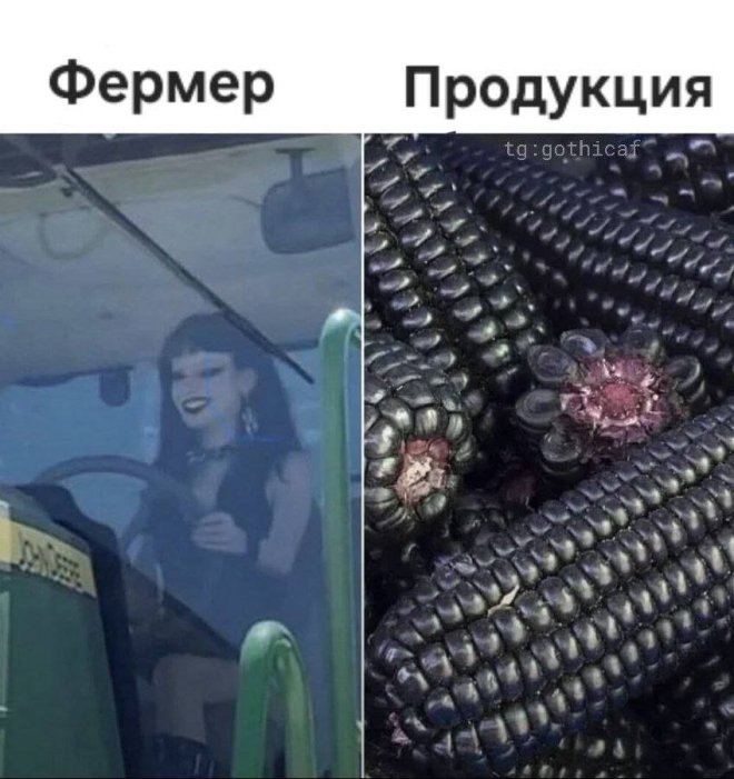 �������� ����� � �������� (30 ����)