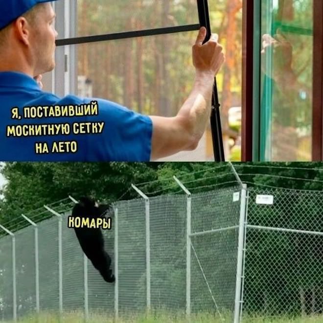 �������� ����� � �������� (30 ����)