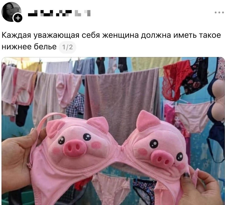 �������� ����� � �������� (30 ����)