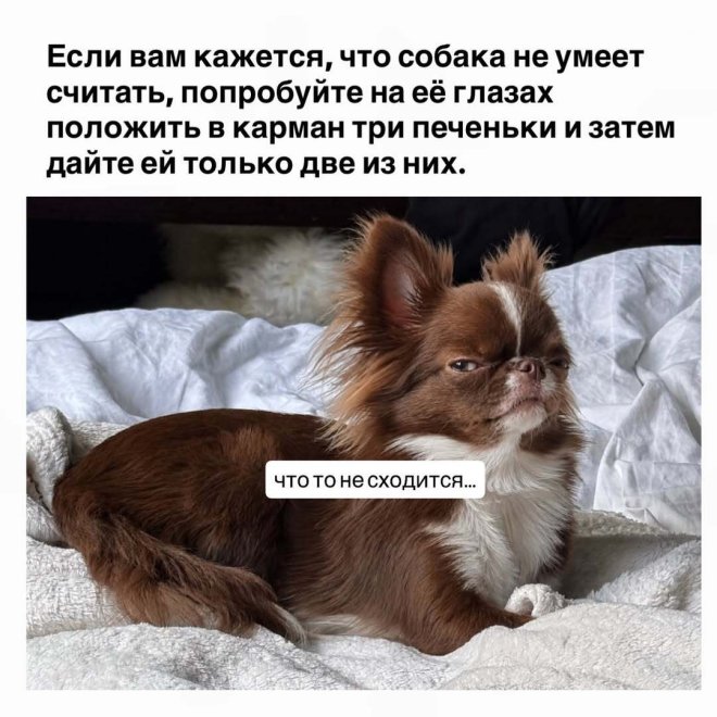 �������� ����� � �������� (30 ����)