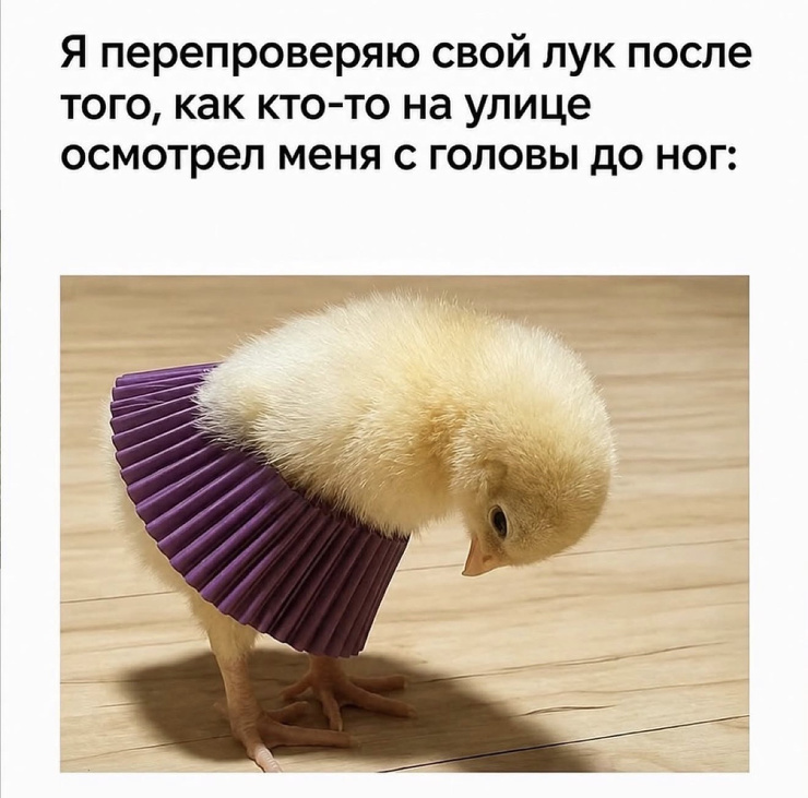 �������� ����� � �������� (30 ����)