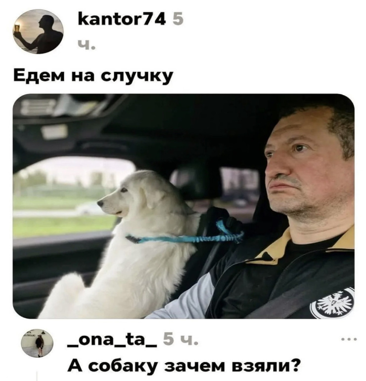 �������� ����� � �������� (30 ����)