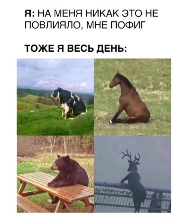 ���������! �������� ������� �������� �� ���� (30 ����)